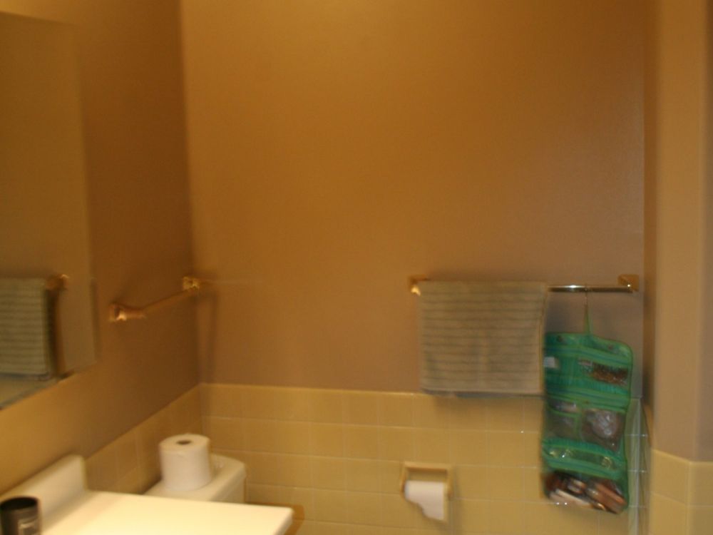 Cedarburg Duplex Bathroom